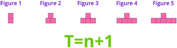 Algebraic patterns and expressions