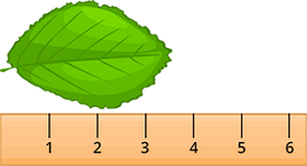 Measure Length of Objects using ruler